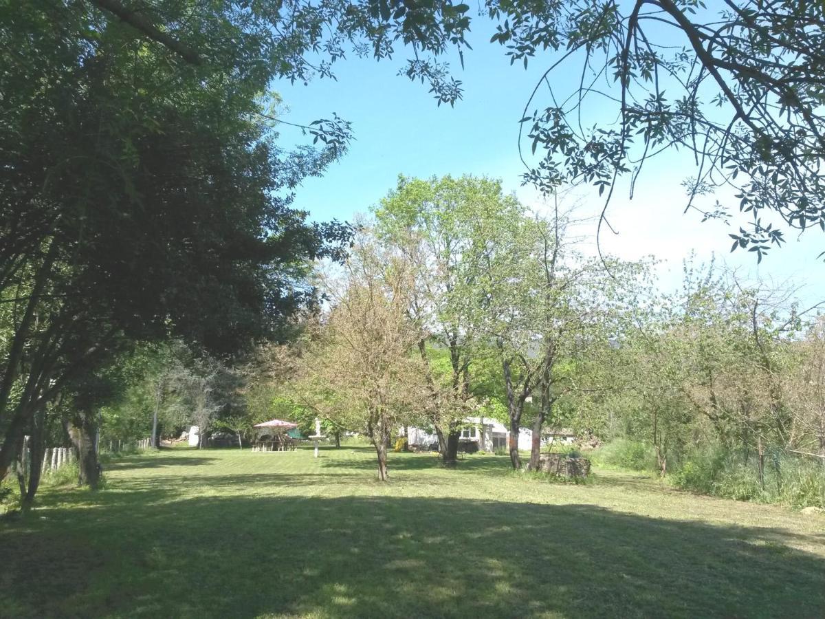 Villa Les Martinets-Piscine-Jacuzzi-Voie Verte-Gorges D'Heric-Massif Du Caroux Mons Olargues 34600 Le Poujol-sur-Orb מראה חיצוני תמונה