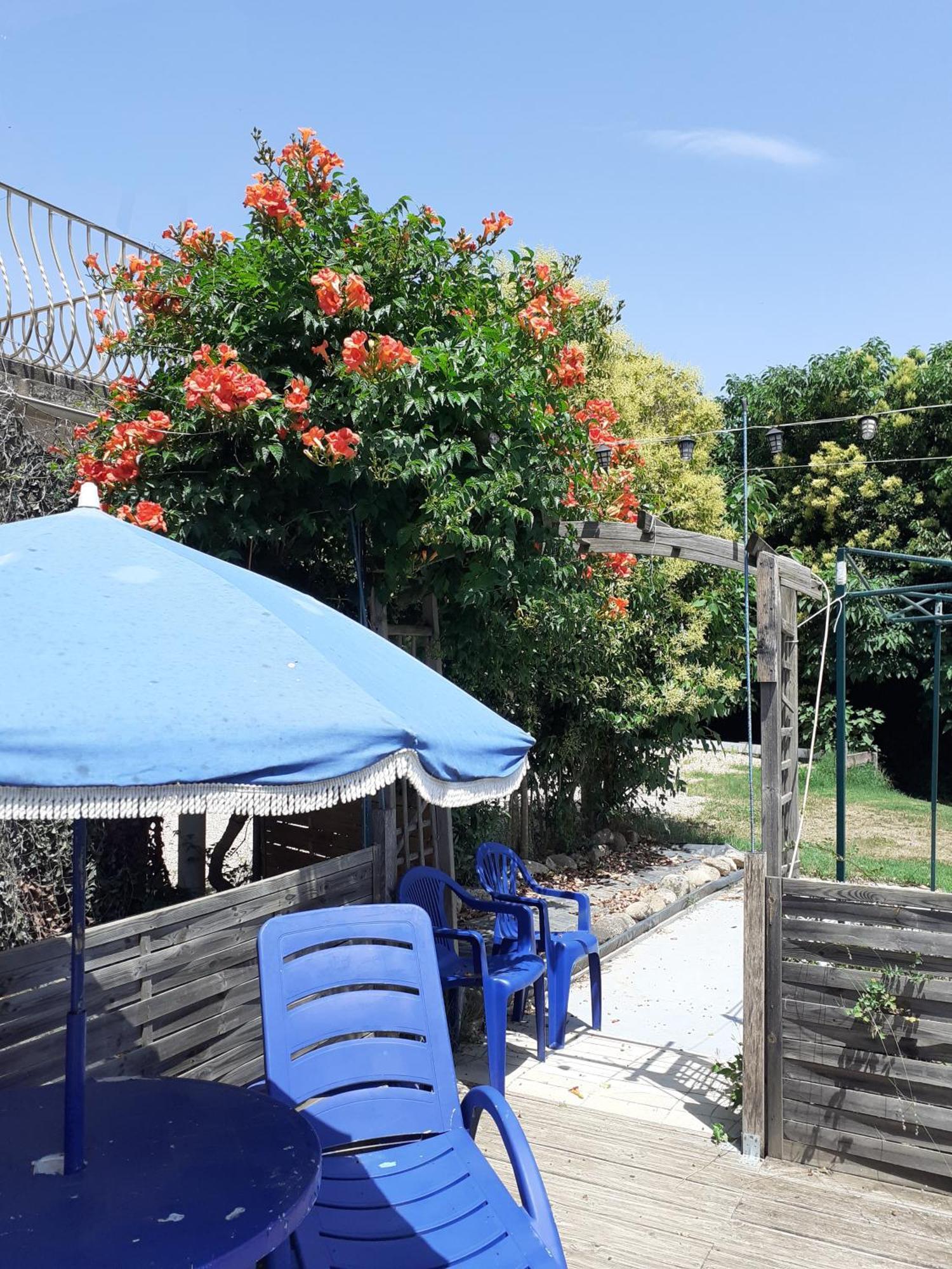 Villa Les Martinets-Piscine-Jacuzzi-Voie Verte-Gorges D'Heric-Massif Du Caroux Mons Olargues 34600 Le Poujol-sur-Orb מראה חיצוני תמונה