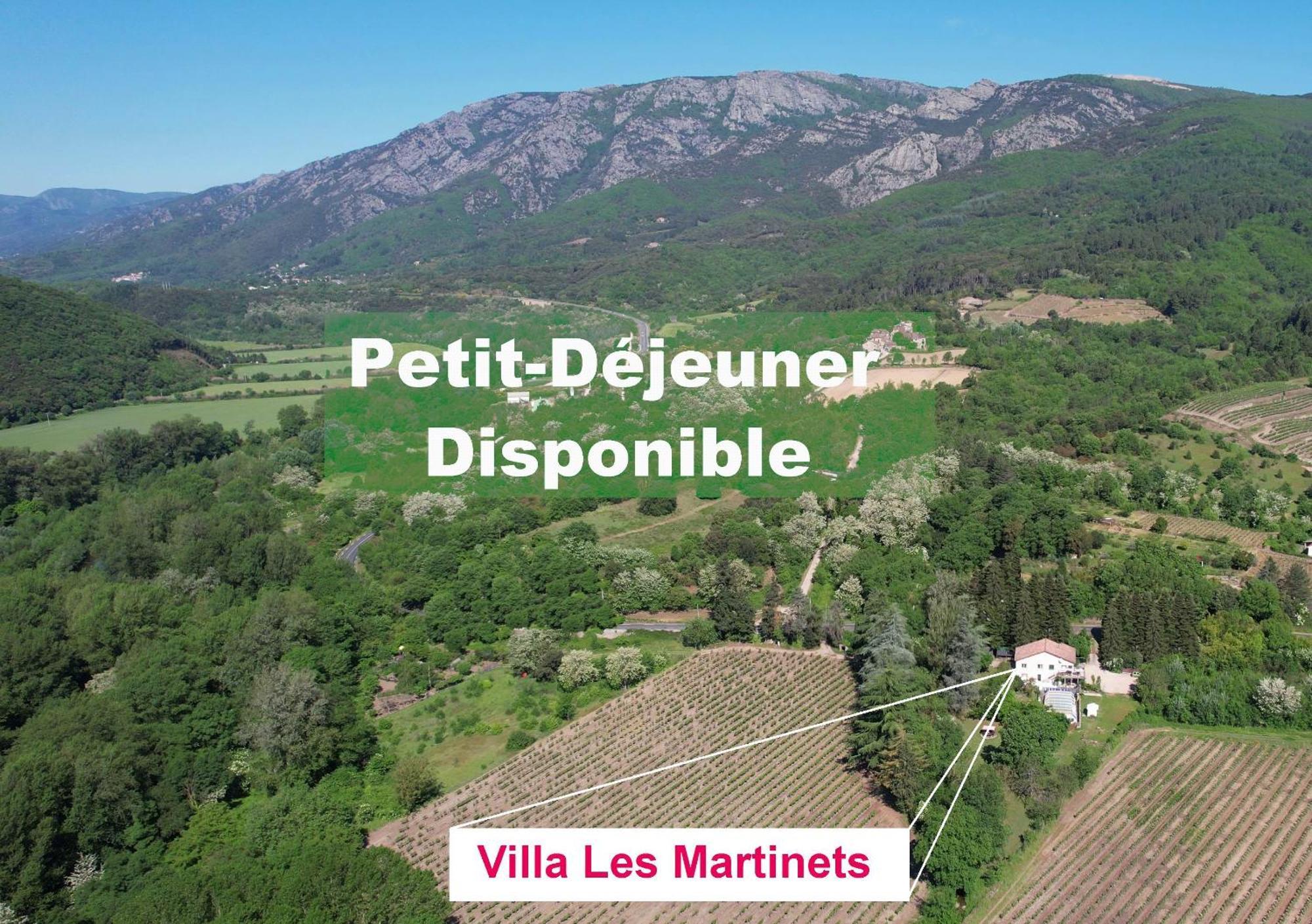 Villa Les Martinets-Piscine-Jacuzzi-Voie Verte-Gorges D'Heric-Massif Du Caroux Mons Olargues 34600 Le Poujol-sur-Orb מראה חיצוני תמונה